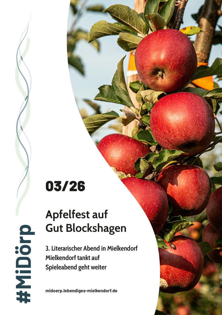 midoerp_007